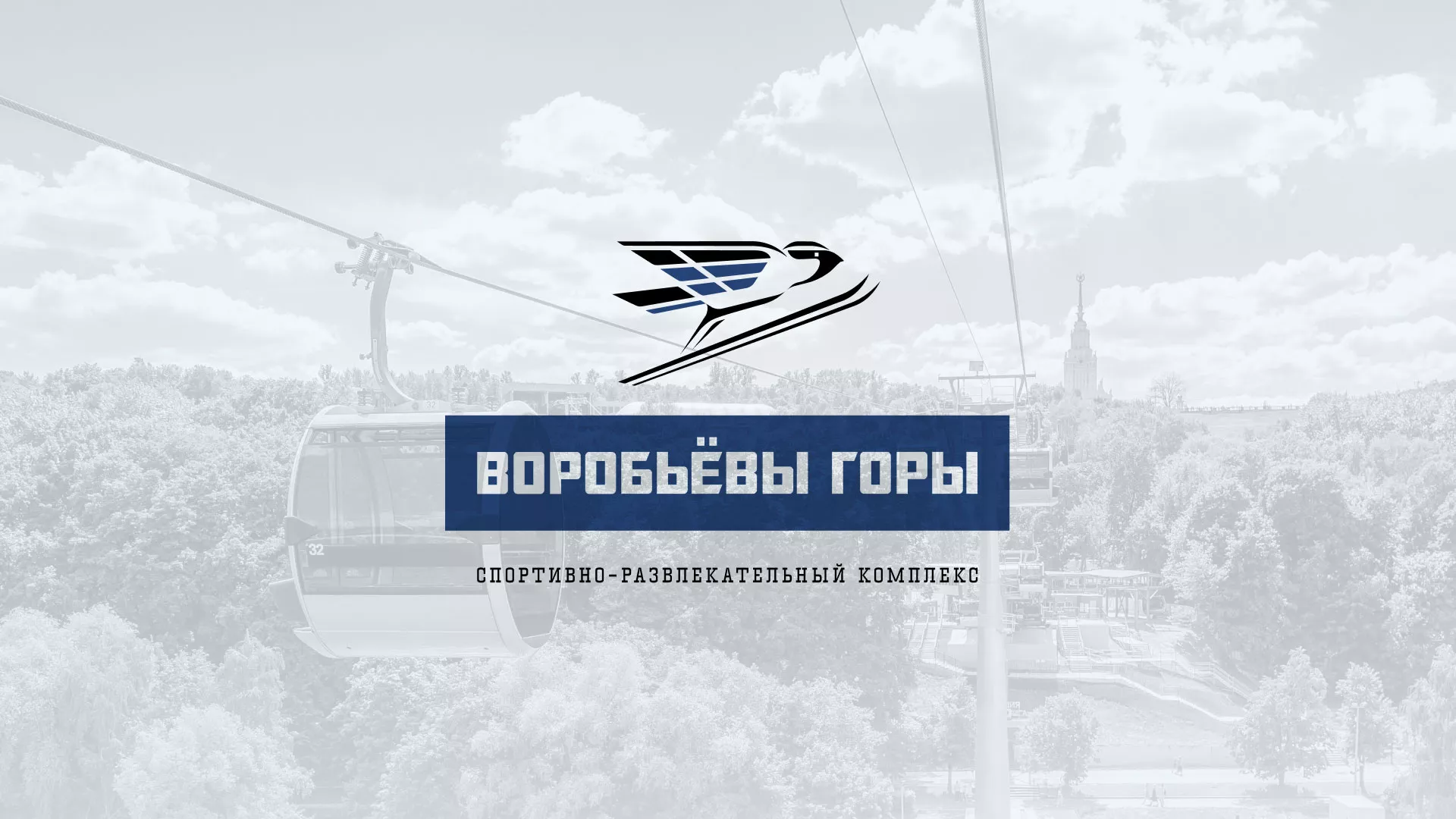 Разработка сайта в Гавриловом-Яме для спортивно-развлекательного комплекса «Воробьёвы горы»