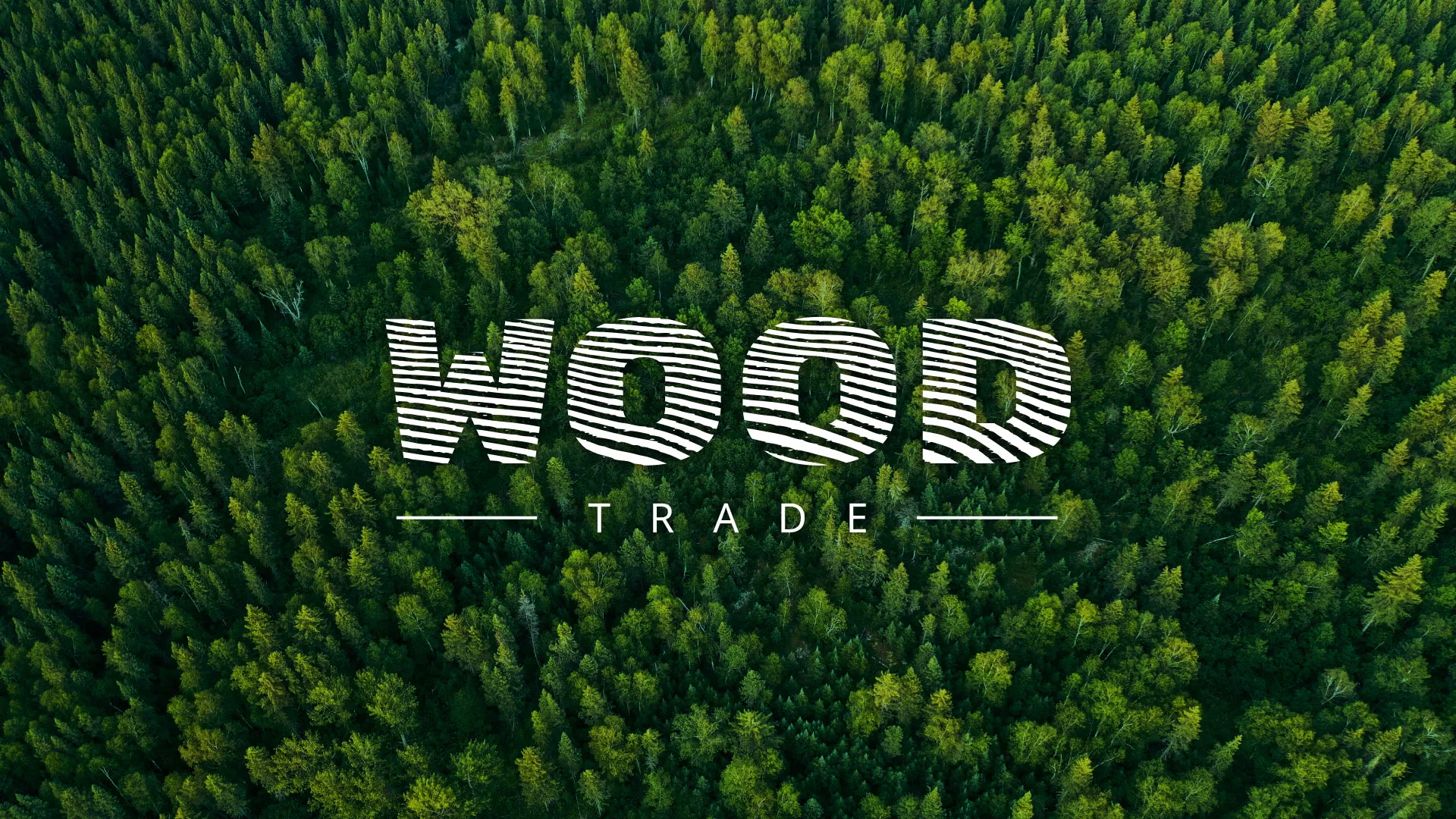 Разработка интернет-магазина компании «Wood Trade» в Гавриловом-Яме