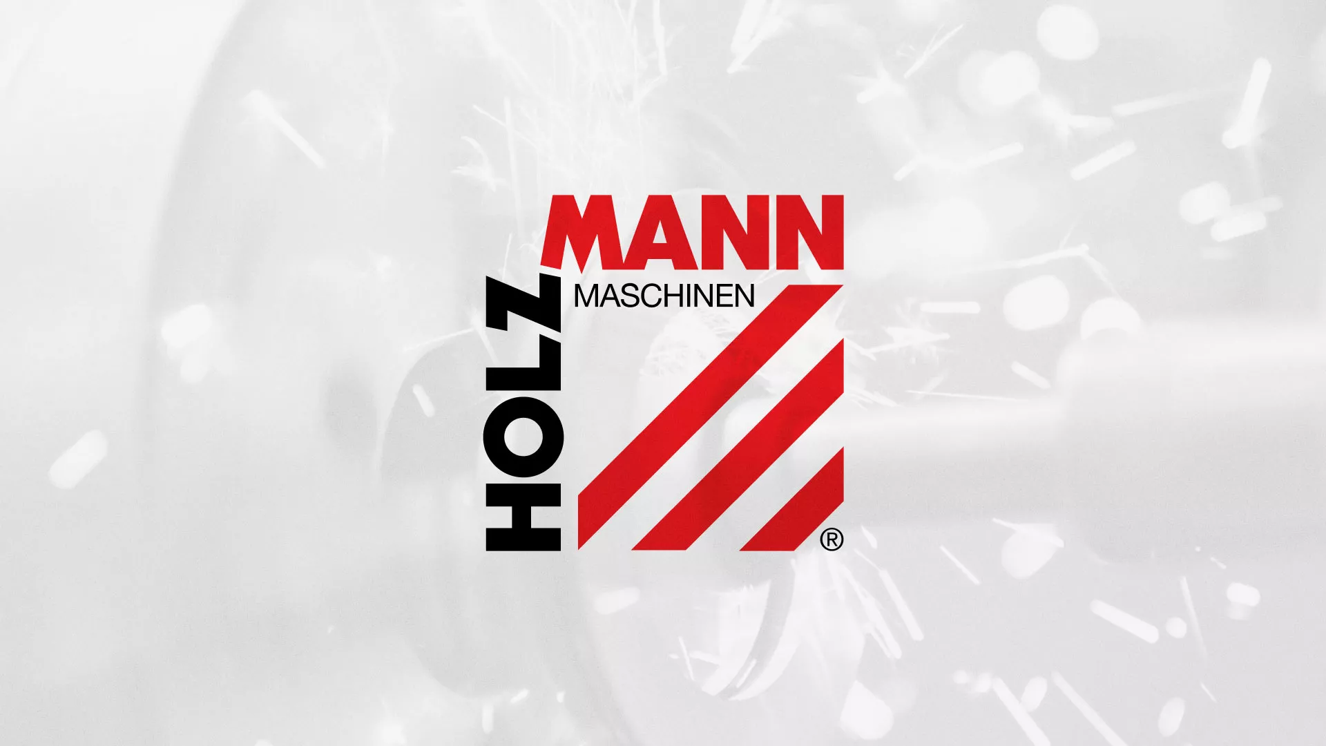 Создание сайта компании «HOLZMANN Maschinen GmbH» в Гавриловом-Яме