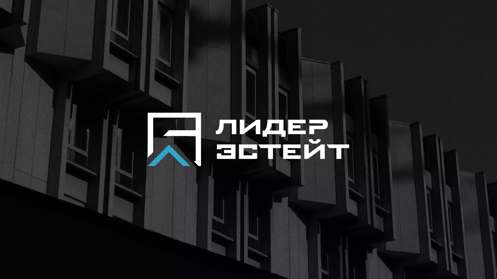 Разработка логотипа агентства недвижимости «Лидер Эстейт» в Гавриловом-Яме